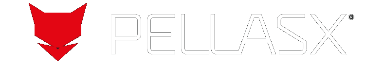 καυστήρες pellet PellasX Logo